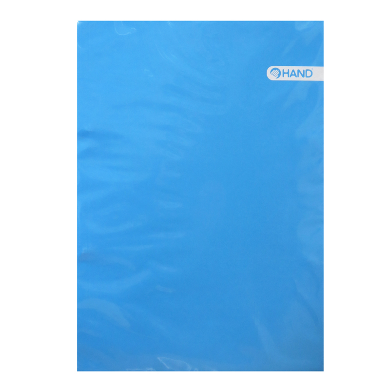 Imagen de CARPETA PLASTIFICADA