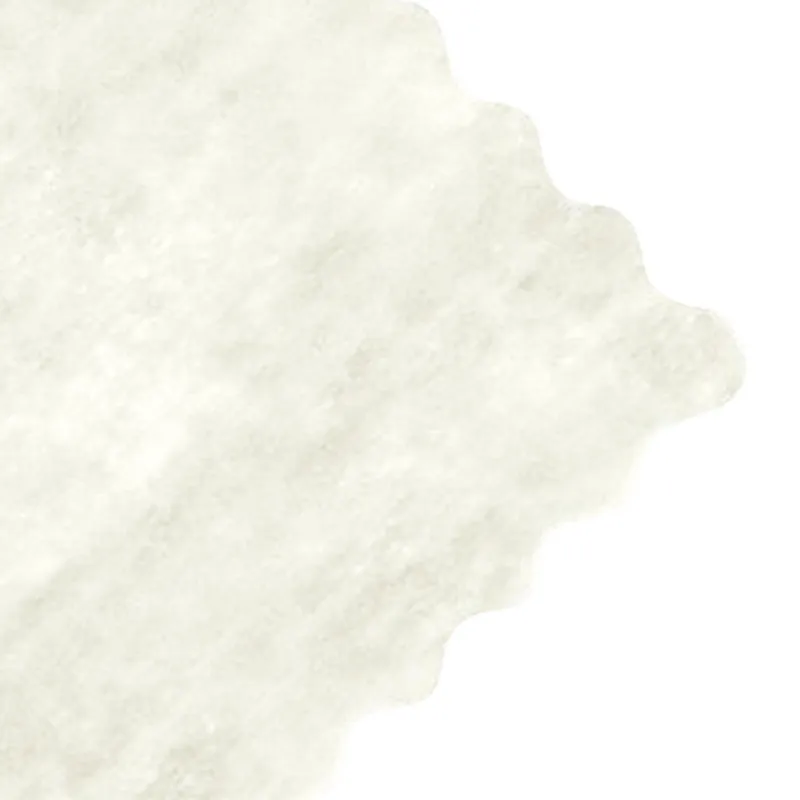 Imagen de PAPEL ARROZ